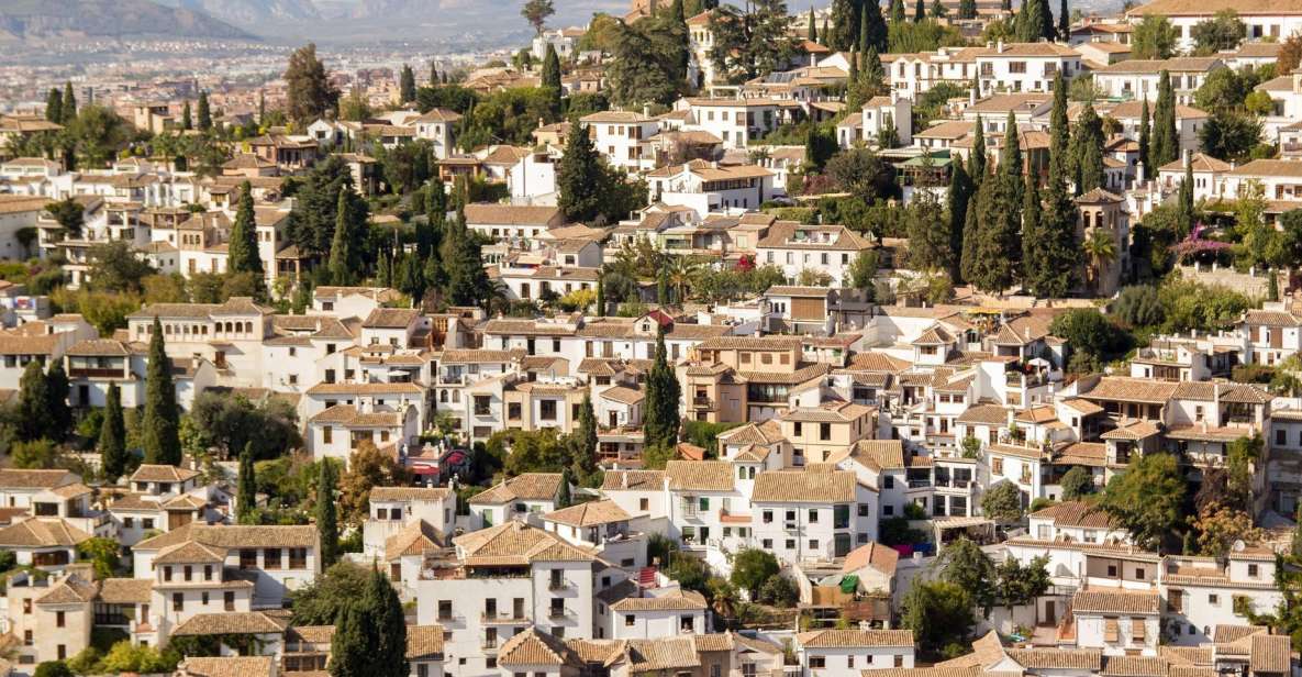 From Malaga and Costa Del Sol: Granada Day Trip - Your 5 hours in Granada: Cathedral area, Plaza Nueva, and self-guided wandering