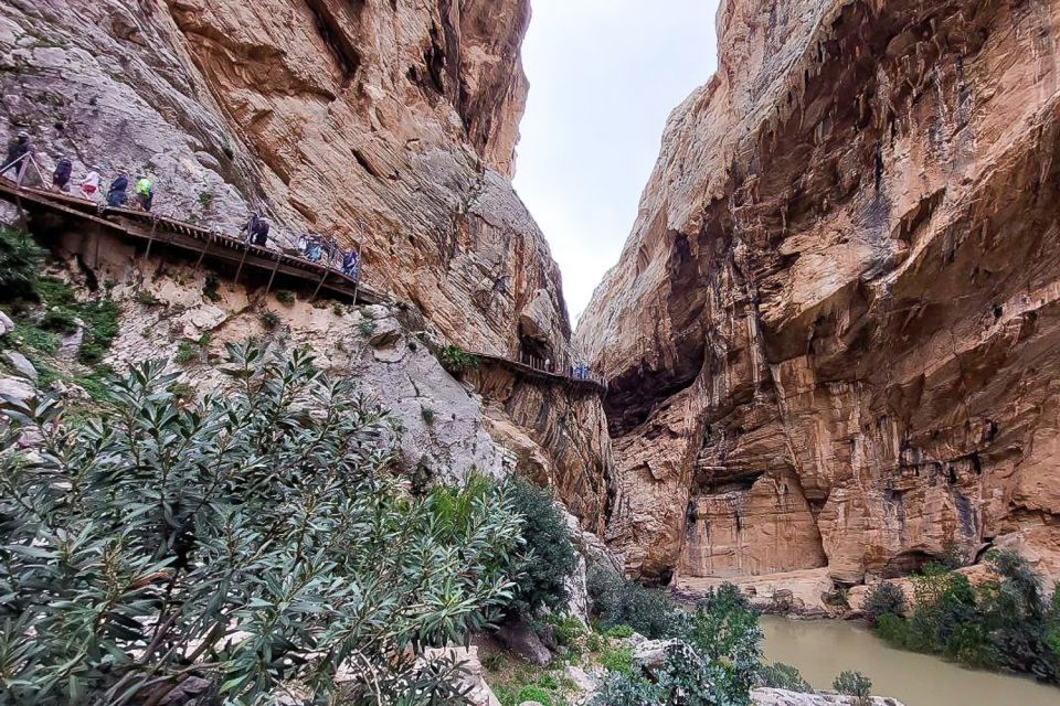 From Málaga: Caminito del Rey Guided Day Trip - Key highlights at a glance