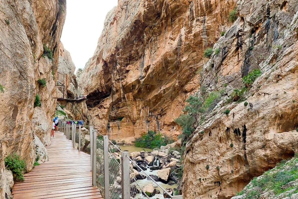 From Málaga: Caminito del Rey Guided Day Trip - Should you book the Caminito del Rey guided day trip from Málaga?