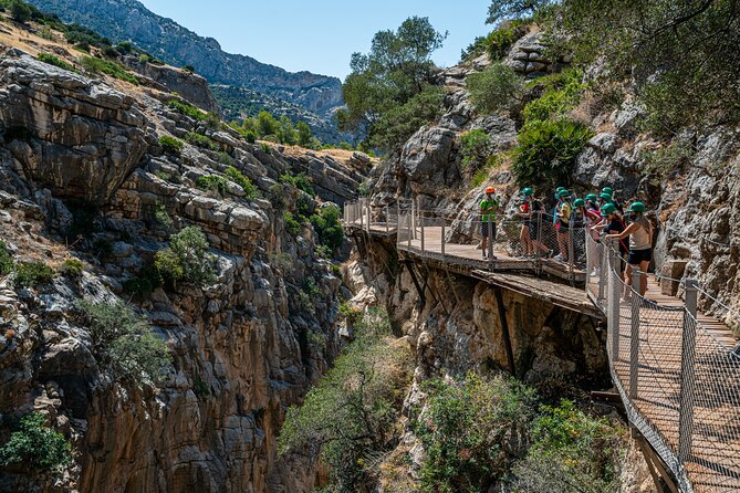From Malaga Caminito del Rey Guided Tour with transportation - Price and value: is $74.98 a fair deal?