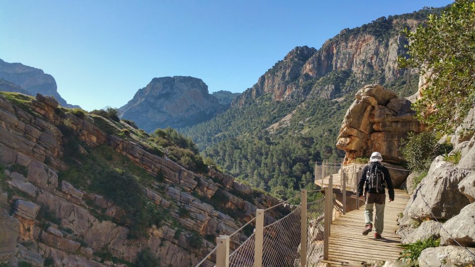 From Málaga: Caminito del Rey Small-Group Tour with Picnic - Price and Value: Is $105 Worth It for a 6-Hour Gorge Day?