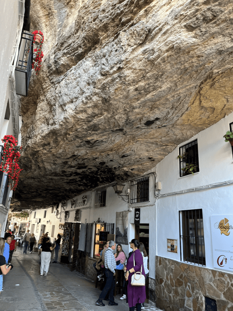 From Malaga: Ronda and Setenil de las Bodegas Day Trip - Bullring and Bullfighting Museum: History for the Curious