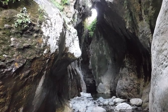 From Marbella: Canyoning Tour in Guadalmina Canyon - Fitness Level and Comfort: The Real Check Before You Go