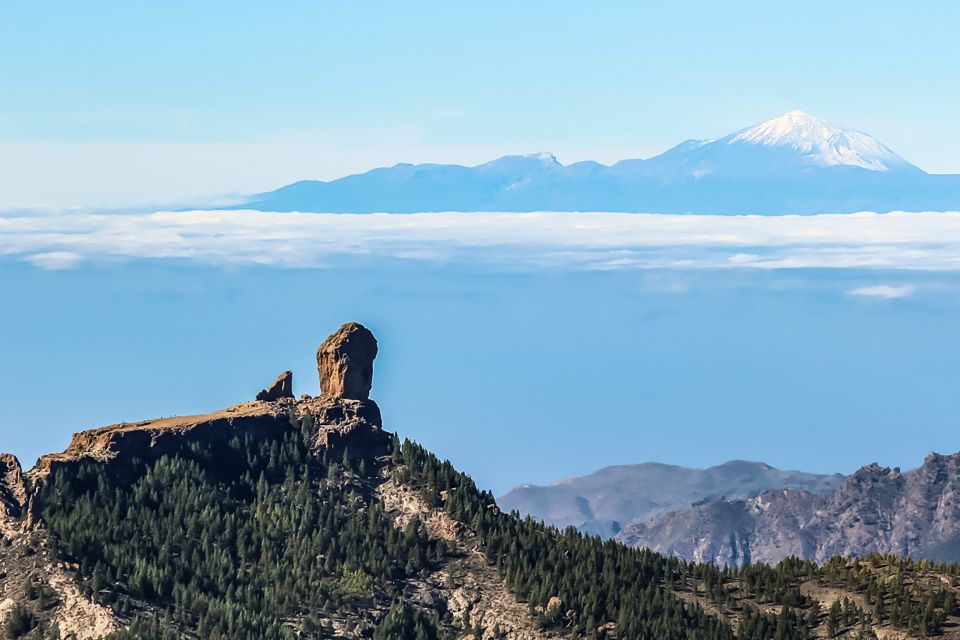 From Mogán/Maspalomas/Arguineguín: Gran Canaria Day Tour - Price and Value: What $52 Actually Buys You