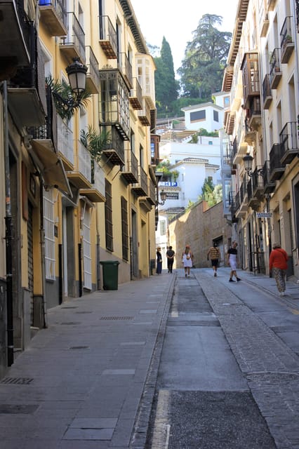 From Nerja/Almunecar: Granada Full-Day Trip - From Costa Tropical to Granada: the easy part