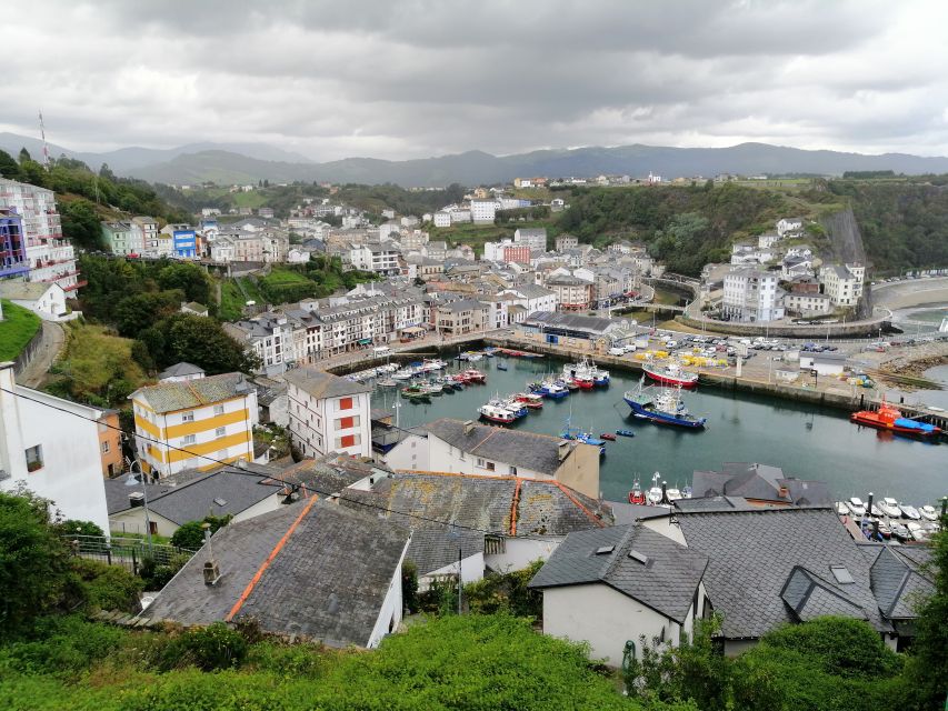 From Oviedo: Luarca, Cudillero and Avilés Day Trip - Key Things You’ll Notice on This Oviedo Coast Trip