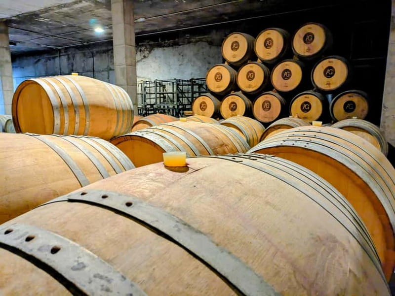 From Palma de Mallorca: Private Wine and Local Flavors Tour - Key highlights that make this tour worth your time