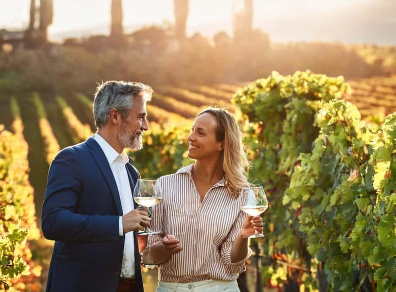From Palma de Mallorca: Private Wine and Local Flavors Tour - Palma-to-Binissalem: the fast way to get “real Mallorca” wine