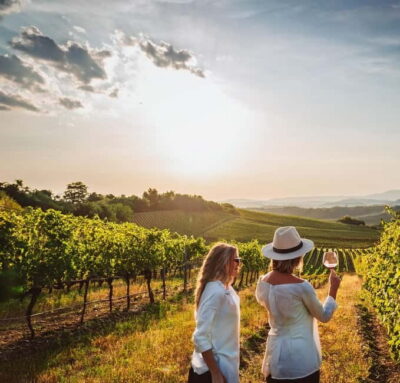From Palma de Mallorca: Private Wine and Local Flavors Tour - Meeting point in Palma: don’t lose time before you start