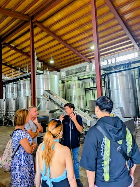 From Palma de Mallorca: Private Wine and Local Flavors Tour - Paella at the winery: a great add-on if your day matches the schedule