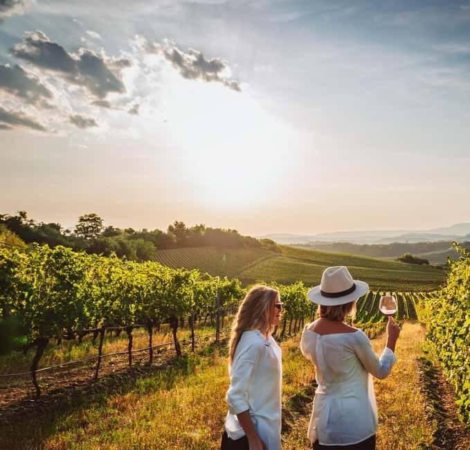 From Palma de Mallorca: Private Wine and Local Flavors Tour - Meeting point in Palma: don’t lose time before you start