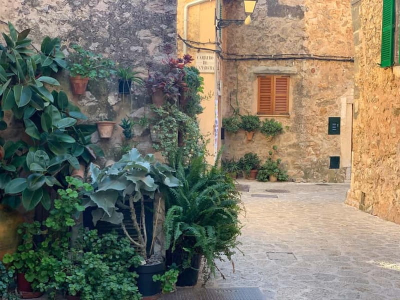 From Palma: Valldemossa Tour and Mountain Viewpoint Hike - Key moments you’ll remember