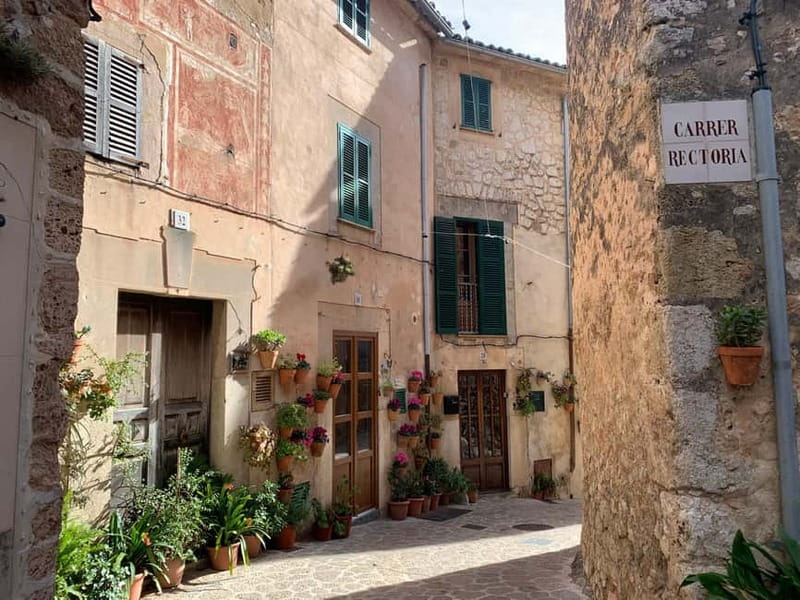 From Palma: Valldemossa Tour and Mountain Viewpoint Hike - Practical tips before you go