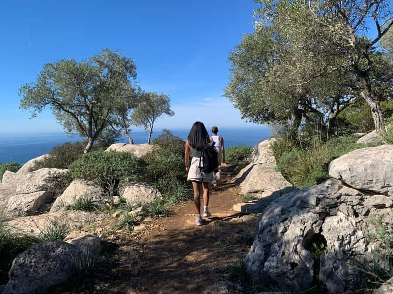 From Palma: Valldemossa Tour and Mountain Viewpoint Hike - Four viewpoints over the Mediterranean: the photo circuit you’ll actually enjoy
