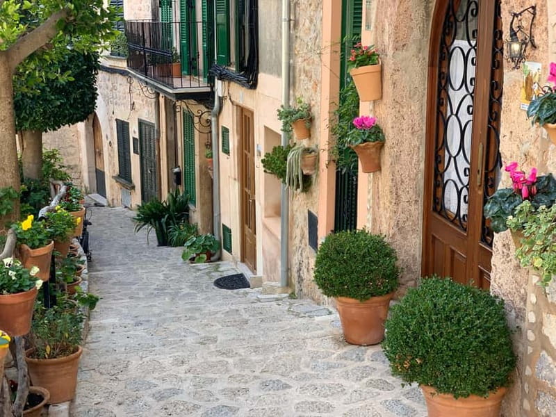 From Palma: Valldemossa Tour and Mountain Viewpoint Hike - Daniela’s small-group style: how the tour feels in real life