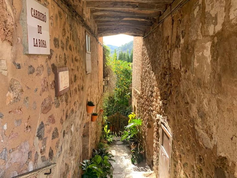 From Palma: Valldemossa Tour and Mountain Viewpoint Hike - Price check: what $105 buys you (and what you may still pay for)