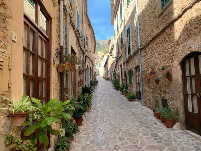 From Palma: Valldemossa Tour and Mountain Viewpoint Hike - Who should book this Valldemossa viewpoint hike