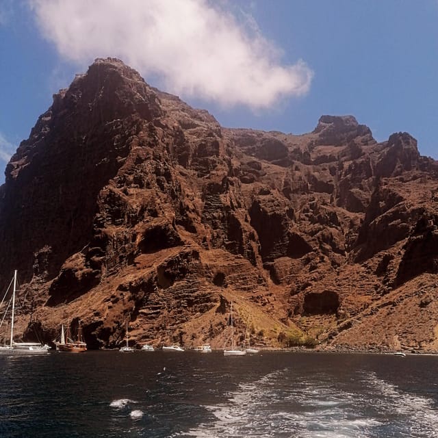 From Playa San Juan: Whale Watching, Gigantes, and Masca Bay - Masca Cove swim and snorkeling: calm water plus Canarian snacks