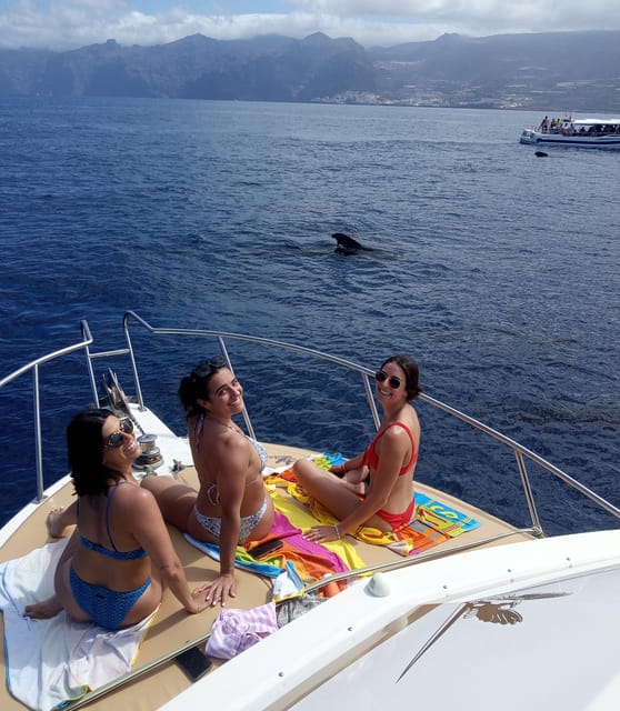From Playa San Juan: Whale Watching, Gigantes, and Masca Bay - Price and value: is $94 a fair deal for 4 hours?