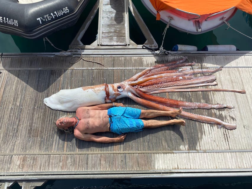 From Playa San Juan: Whale Watching, Gigantes, and Masca Bay - Who should book this Tenerife cruise (and who should think twice)