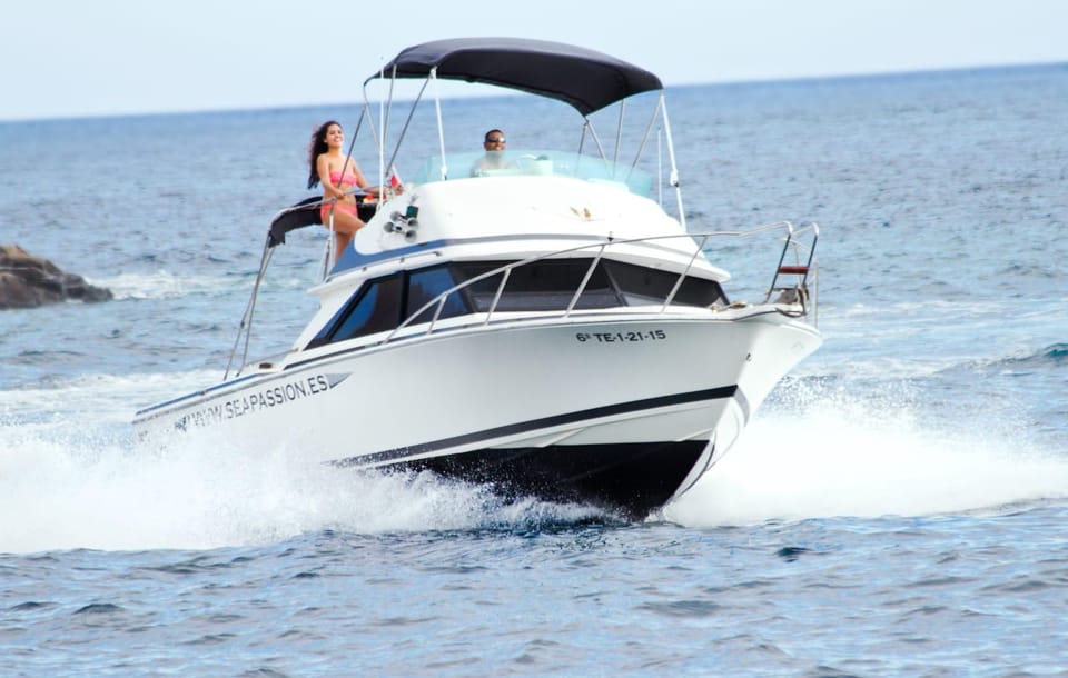From Playa San Juan: Whale Watching, Gigantes, and Masca Bay - Should you book this Playa San Juan whale watching cruise?