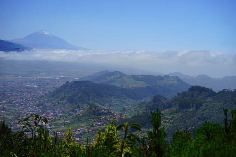 From Puerto de La Cruz: VIP Tour Around Anaga and La Laguna - Your Day Starts in Puerto de la Cruz (and why 08:45 matters)