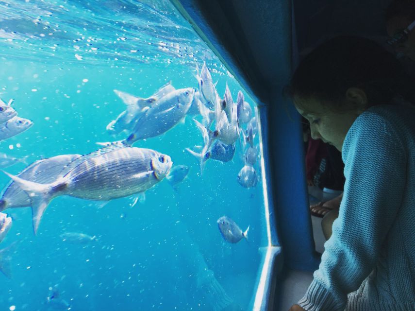 From Roses: Cap Norfeu Boat Cruise & Swimming - The 26 km Coast Cruise: What You Actually See on the Route
