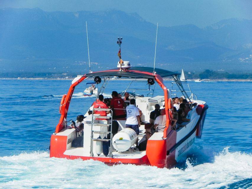 From Salou/Cambrils: Speedboat Tour - The anchor stop off the Mediterranean: snorkel, swim, or relax