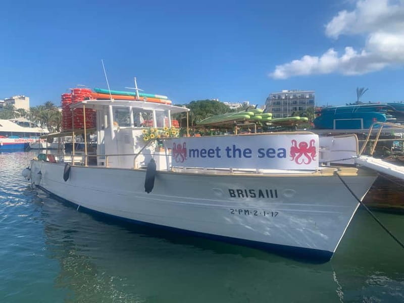 From San Antonio: Family Boat Tour to Conillera Island - Illa Conillera lunch: paella cooked onboard, plus tapas and a cooking moment