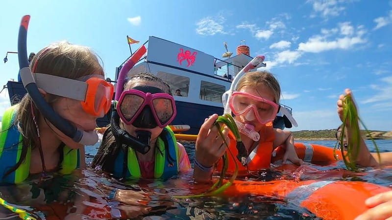 From San Antonio: Family Boat Tour to Conillera Island - Brisa III departure from San Antonio: where to meet and how the day starts