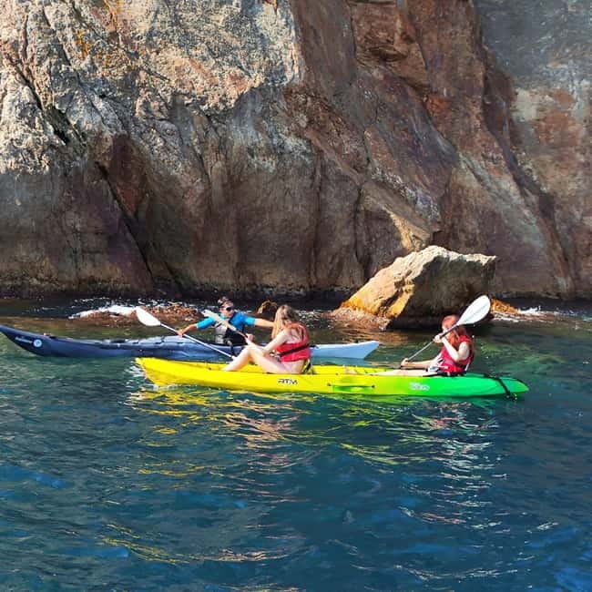 From Sant Feliu de Guíxols: Kayak and Snorkel in Costa Brava - Snorkeling for About 20 Minutes: Gear, Rules, and What You Might See