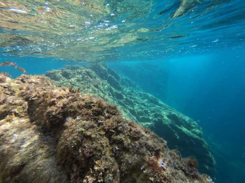From Sant Feliu de Guíxols: Kayak and Snorkel in Costa Brava - Who Should Think Twice Before Booking