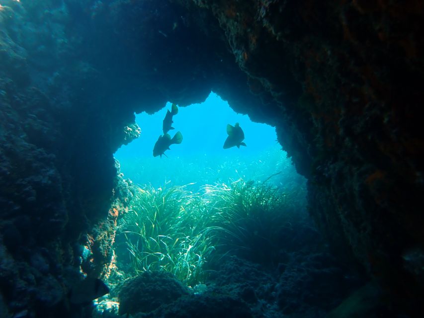 From Santa Pola: Snorkel Trip in Tabarca Island - The boat-to-Tabarca portion: time on water with a purpose