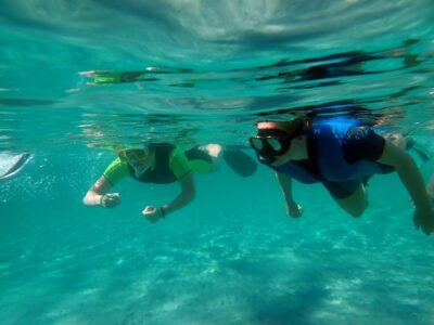 From Santa Pola: Snorkel Trip in Tabarca Island - What you do first: snorkeling coaching that actually helps