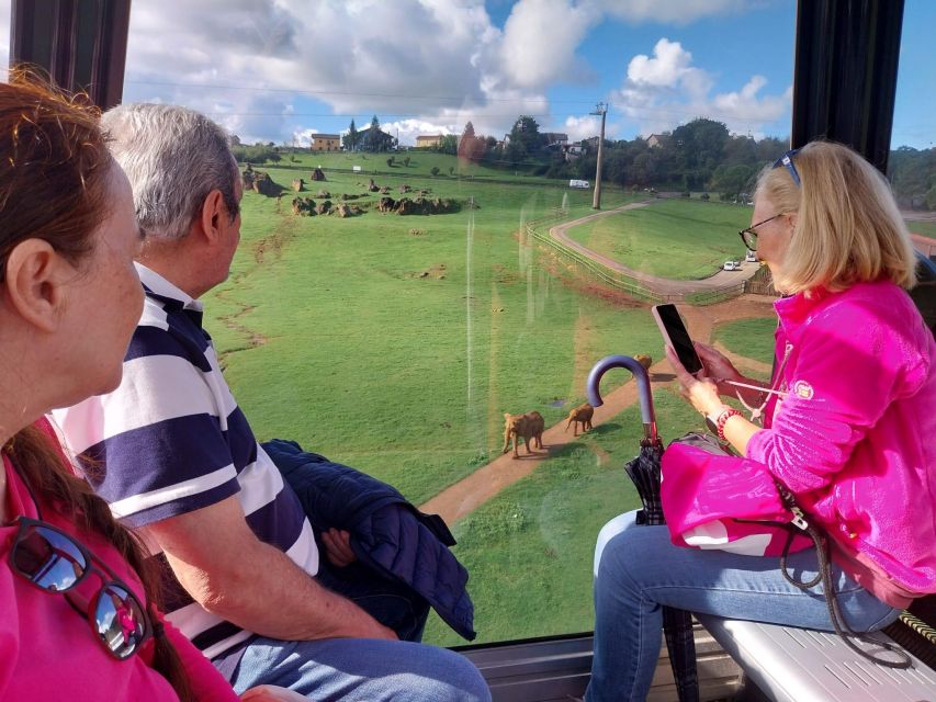 From Santander: Cabarceno Natural Park Half-Day Trip - The guided tour inside Cabárceno: what 150 animals means in real life