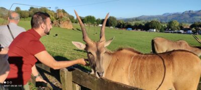 From Santander: Cabarceno Natural Park Half-Day Trip - Getting there: Santander pickup, minivan time, and a small-group rhythm