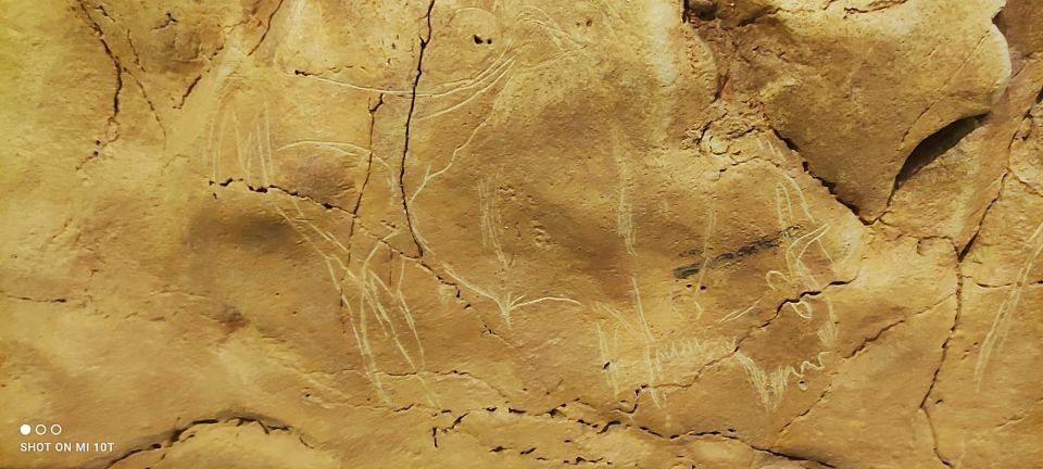 From Santander: Santillana del Mar & Altamira Museum Tour - Inside the Altamira Museum: why the neocave matters