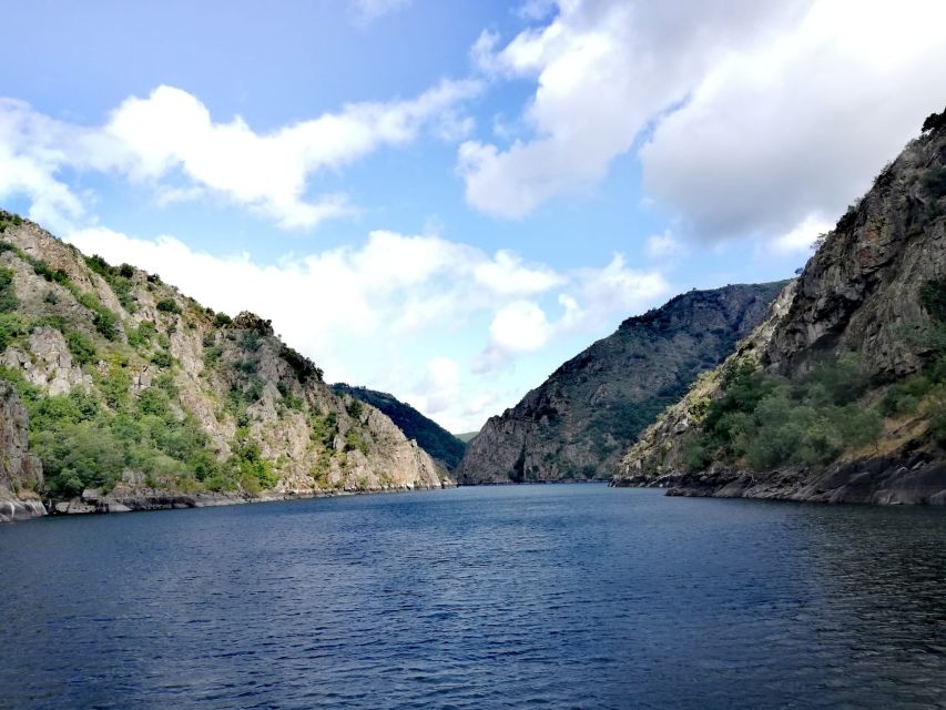 From Santiago: Excursion to Ribeira Sacra and Ourense - Cañones del Sil by catamaran: the part you’ll remember
