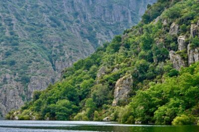 From Santiago: Excursion to Ribeira Sacra and Ourense - Getting to the action: the Ourense stop that helps the whole day