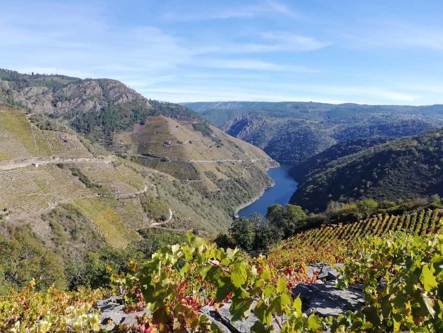 From Santiago: Excursion to Ribeira Sacra and Ourense - Language matters: English tours aren’t always identical onboard