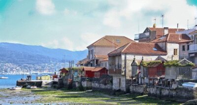 From Santiago: Rías Baixas Galicia Seafood & Wine Day Tour - The Albariño cellar stop: what you’re really learning