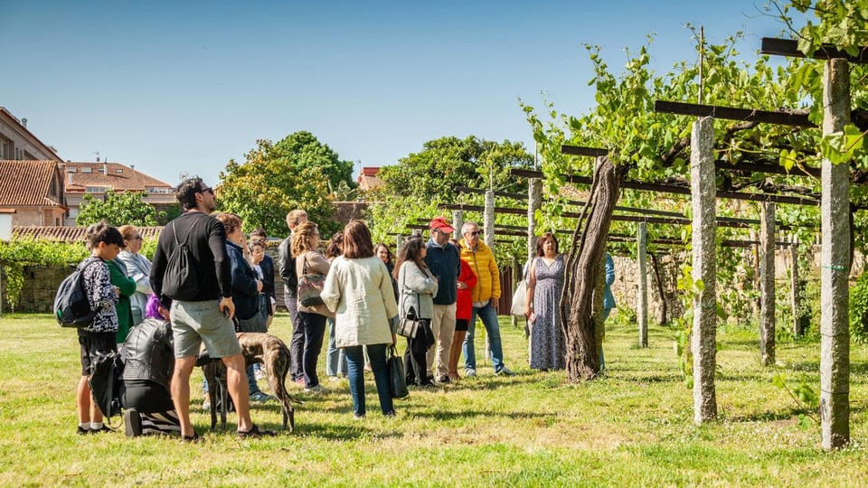From Santiago: Tour to Rias Baixas with Boat Trip and Winery - A well-built day trip from Santiago to Rías Baixas