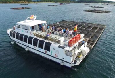 From Santiago: Tour to Rias Baixas with Boat Trip and Winery - Combarro: granaries, Cruceiros, and a coast village that feels lived-in