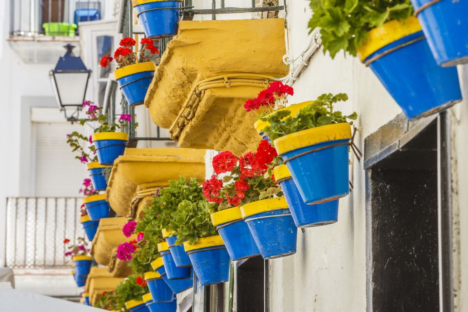 From Seville: Cadiz and Jerez de la Frontera Day Trip - Shared vs private groups, language variety, and how guides shape the experience