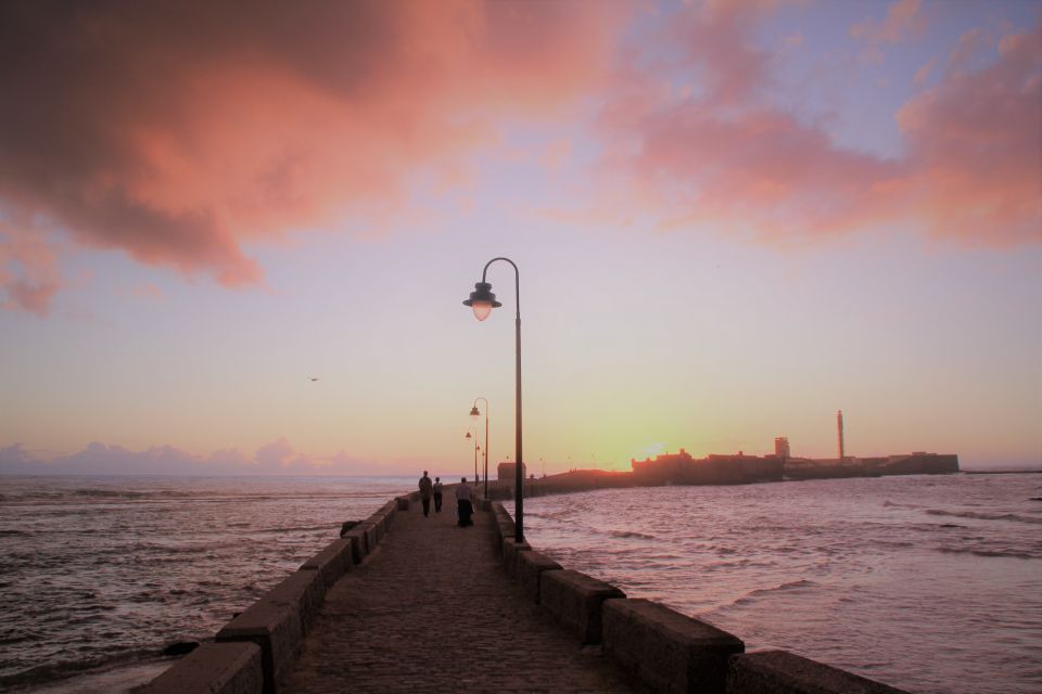 From Seville: Cadiz and Jerez de la Frontera Day Trip - Who should book this Seville day trip to Cádiz and Jerez