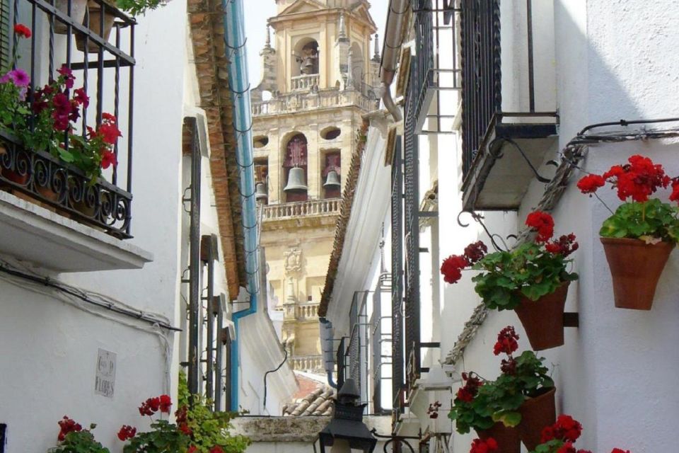 From Seville: Córdoba and Mosque Cathedral Full-Day Tour - Value and Price: Is $117 a Good Deal for This Córdoba Day?