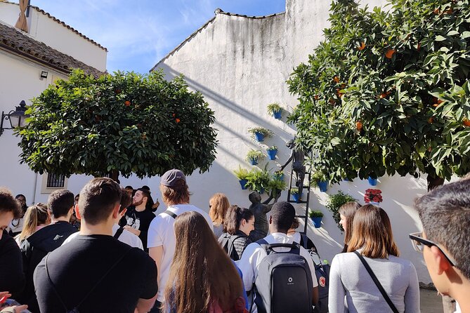 From Seville: Cordoba and Mosque-Cathedral Skip the Line - Price and value: is $113.24 worth it?