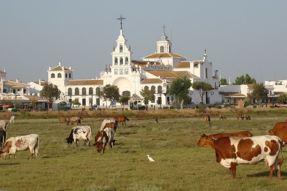 From Seville: Doñana National Park Day Trip - After Lunch: Dunes, Matalascanas, and an Atlantic Break (Seasonal)