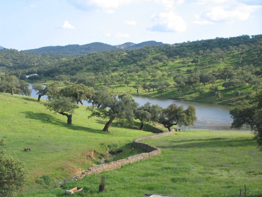 From Seville: Full-Day Aracena & Rio Tinto Mines Tour - Key things that make this tour worth your time