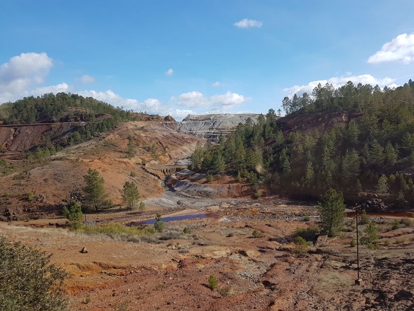 From Seville: Full-Day Aracena & Rio Tinto Mines Tour - Should you book this Aracena and Rio Tinto day trip?